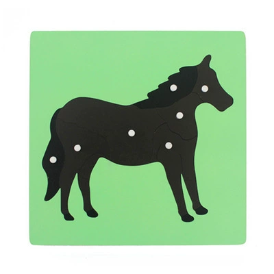 Brainteaser Montessori, teaching aids, professional smart toy
