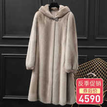 ¿ˮƤŮLƤ2025BñĸëƤ