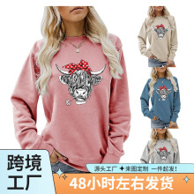 ���R�d�羳���Q���e�L��A�I���t�����YţȤζӡ������Ůʿ�l��