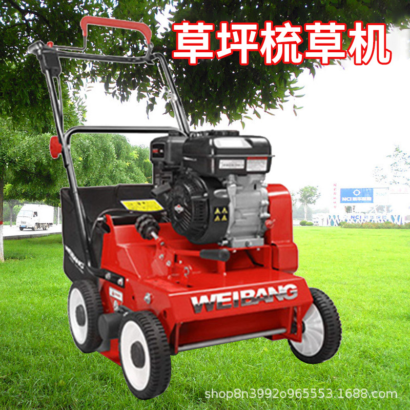 维邦WB384RB梳草机自走草坪机带收草袋清理枯草透气汽油机梳草机