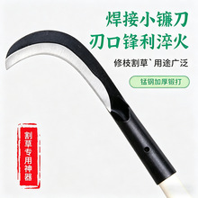 ���l�r�ù���砵� ��ݵ� ������~����砵��㽶�����Ƶ��޽ӵ�
