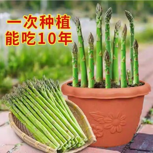 �J�S����Gɫ�J�S��N�ļ��߲������Ը���N�̨ͥԺ�Nֲ�������
