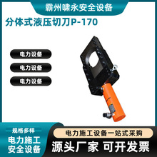 ʩP-170wʽҺе|WzޔྀQ|Һ