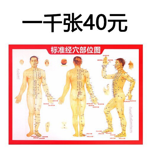 现货高清双面穴位图A5A4艾灸经络图穴位图挂图针灸艾灸书图