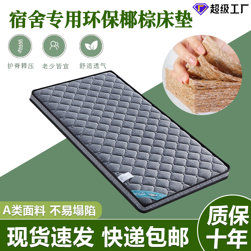 Natural Palm Single Student Dormitory Mattress Not Easy to Collapse Hard Mattress Double Ridge Protection 3E Environmental Protection Coconut Palm Mattress