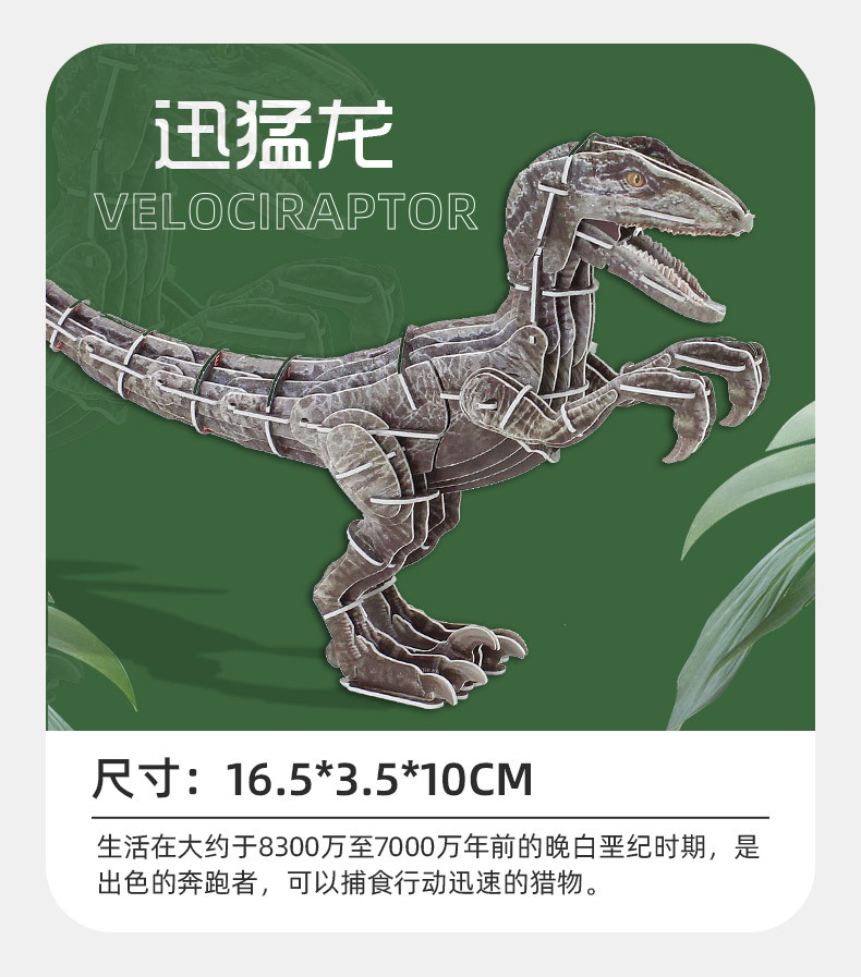 3D立体恐龙.jpg