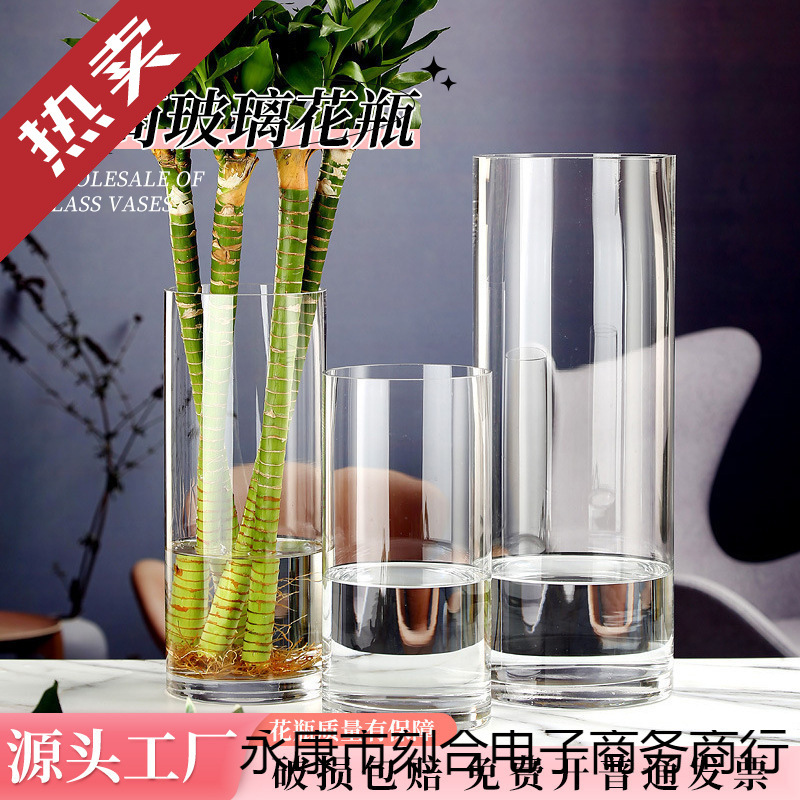 简约透明直筒防真玻璃花瓶 大号落地马醉木吊钟花瓶 插花装饰