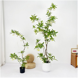 ����Gֲˮʯ�Ż���͏d��ؙ����b��쾰��ˇ�[�������ٻ��Gֲ