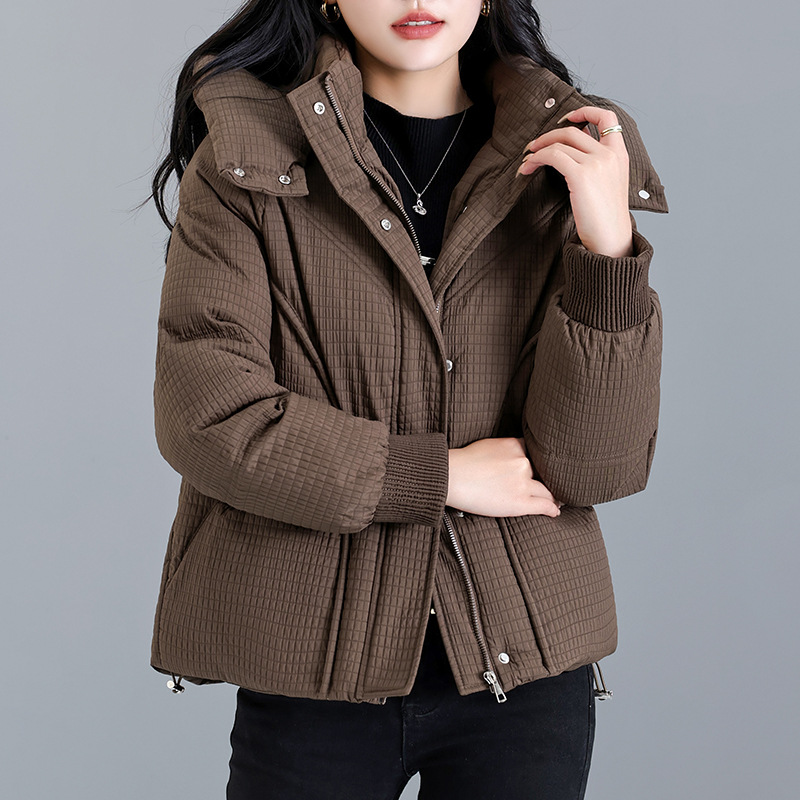 2024 invierno de algodón encapuchado chaqueta de plumón de mujer literatura de color sólido pequeño cierre de pan caliente ropa de algodón image 5