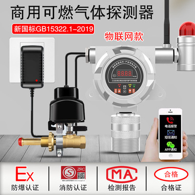 Fixed Combustible Gas Gas LPG Natural gas multi-function explosion-proof Call the police detector fire control probe