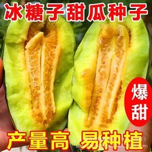 ��������ϷN���ļ��Nֲ�߮a��ϷN�Ӵ����֭��ͥ�߲˷N��ˮ����