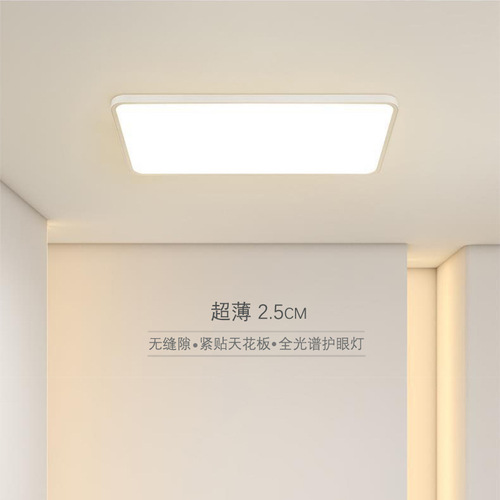 LED ceiling lamp living room full spectrum ultra-thin seamless restaurant simple modern eye protection aisle creative bedroom lamp