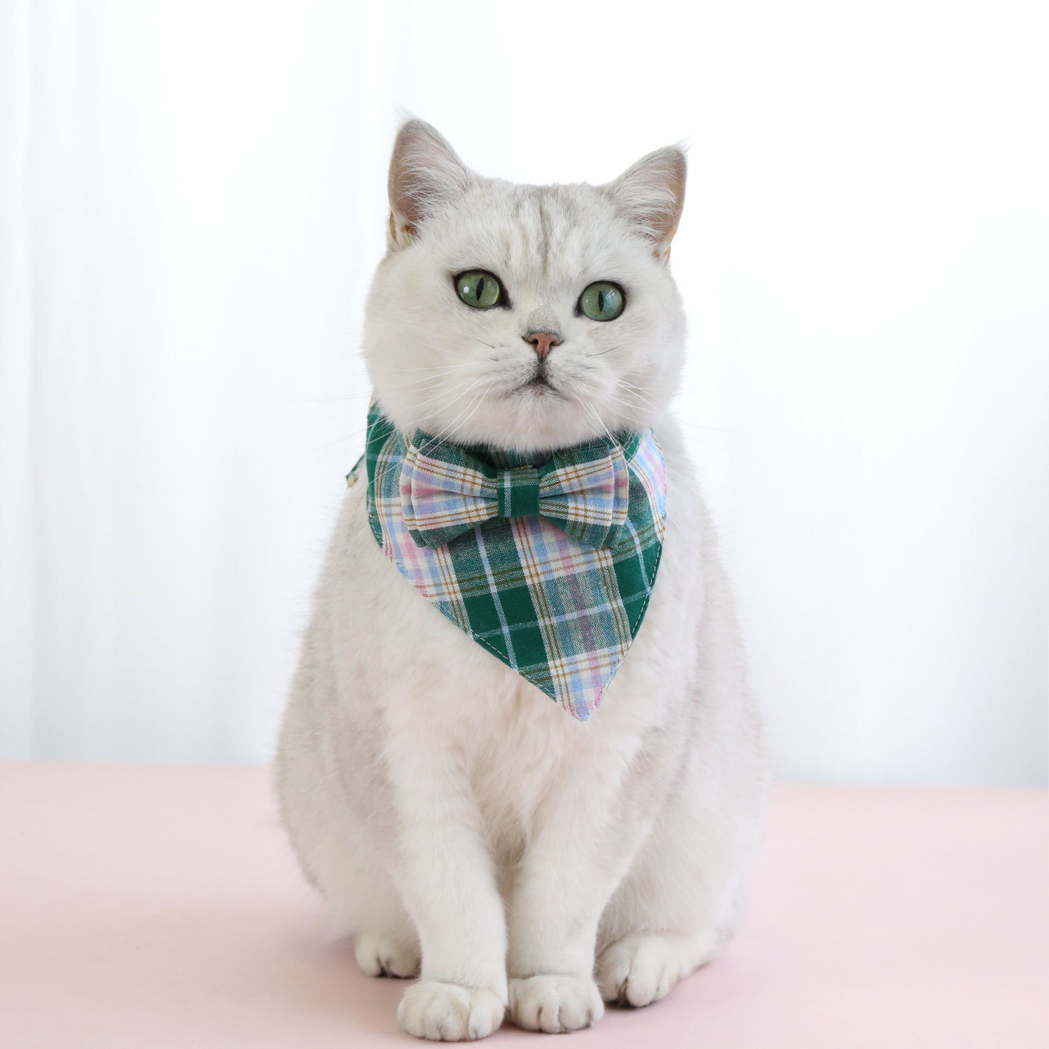 Pet Plaid estilo británico arco corbata set collar anti-asfixia gatos perros ajustable caballero collar