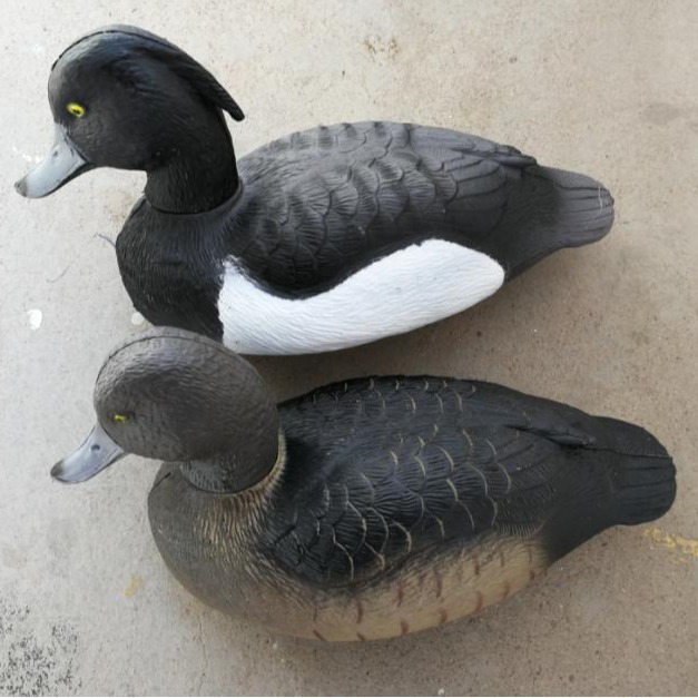 逼真仿真园林装饰野生动物黑色白肚野鸭俄罗斯老扁鸭户外打猎诱捕
