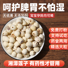 甄选 【新莲】湖南特产湘潭白莲子干货去芯莲米 500g无芯取芯磨皮