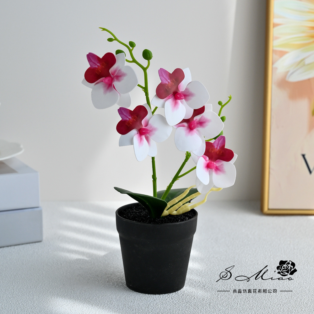 Dos dientes cinco flores sensación de mano pequeña orquídea mariposa imitación bonsai flores falsas decoración del hogar fotografía flores artificiales flores de boda