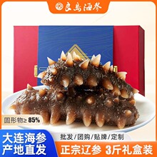 即食海参深海底播大连批发鲜食辽刺参定制OEM贴牌代工深海刺参