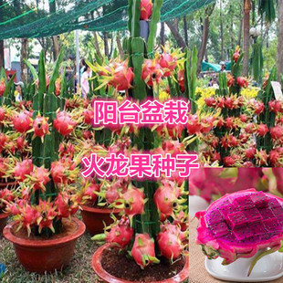 �������N�ӻ��������Լt�Ļ��������ԷN��ˮ���N�ӹ����ϱ����ɷN