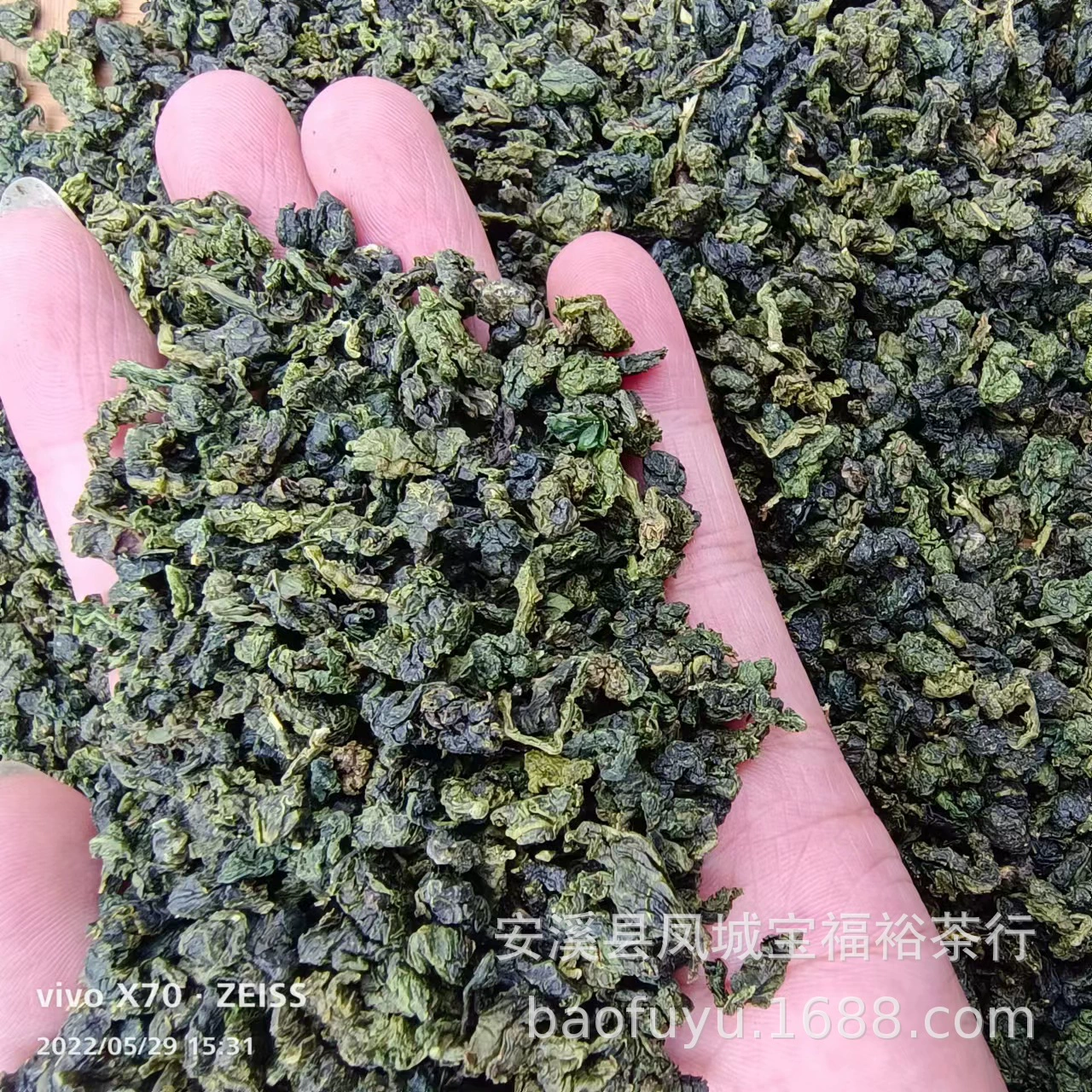 Anxi Alpine Tieguanyin Tea Tea Tea Завод Чайная вода Массовый чай Улун Чай Жёлтый Чай Дешевый Чай