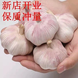 方便面类;膨化;传统糕点