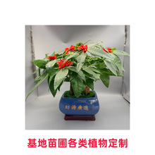 �lؔ�� �t���� �G�} ����҃������Դ�С���B��������ؔ�Gֲ