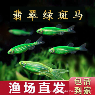 ���G���R�~С�͟Ꭷ�~��ˮ���B�׻��J���~�ǹ����R�~�O�����l