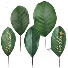 m~ 廨~zƬ 羳Y~Ƭ ^z