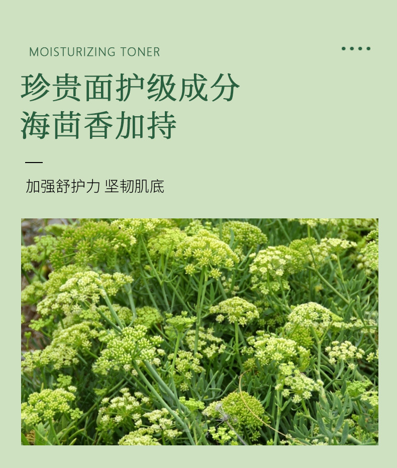 海茴香水乳_05.jpg