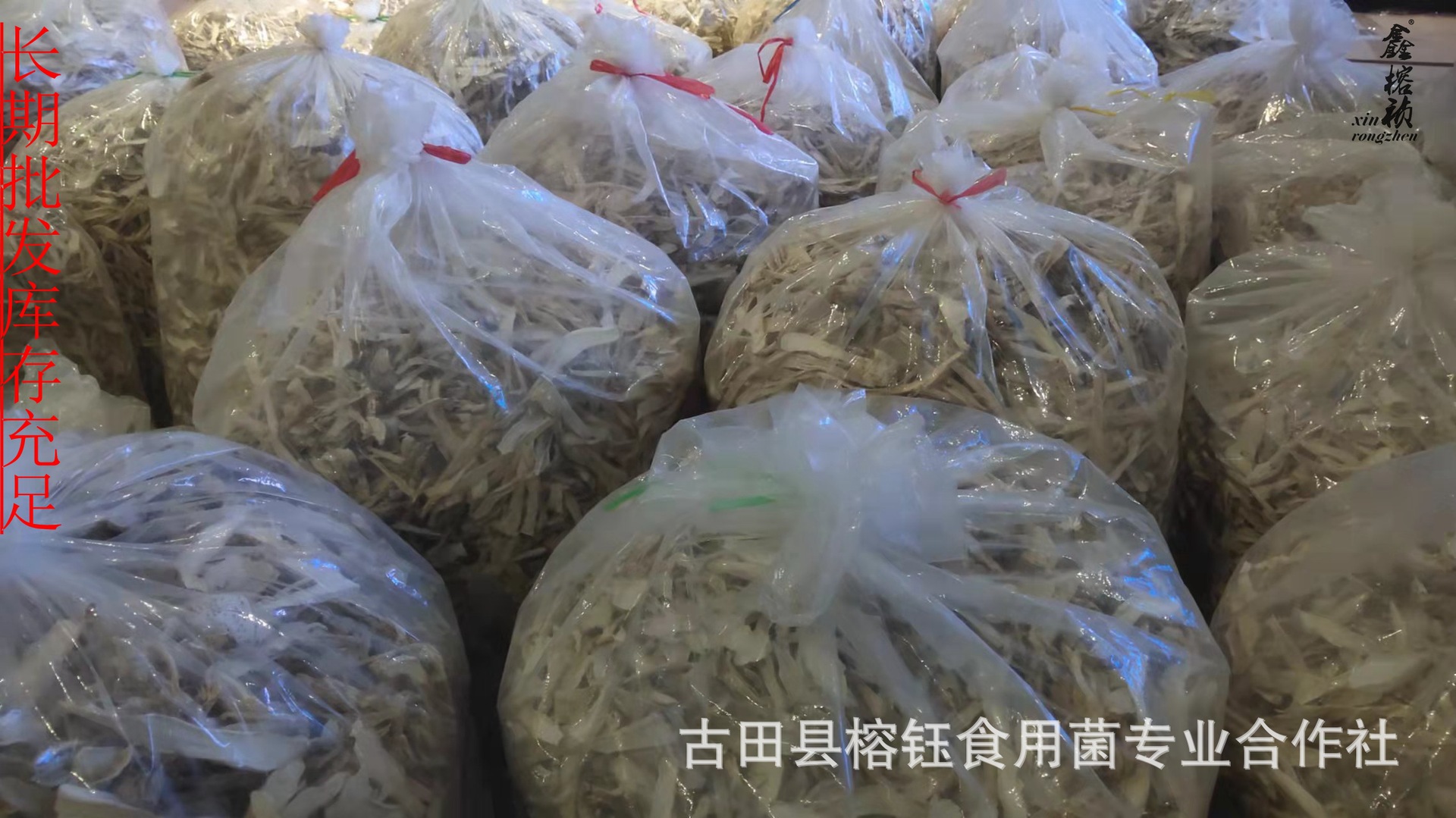 鸡腿菇宝贝详情