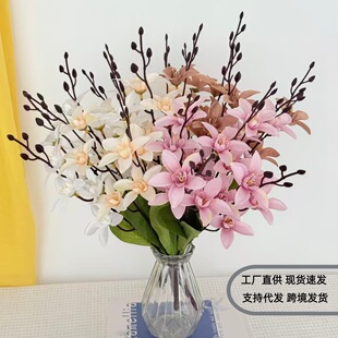 ���滨�羳���N20�^С�ٺ��m���ѻ��@ˇ���^���Ͳ廨�͏d�[���ٻ�
