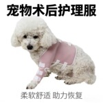 宠物猫狗前后腿通用护具休闲狗狗后双腿恢复袖套防舔舐狗护腿关节