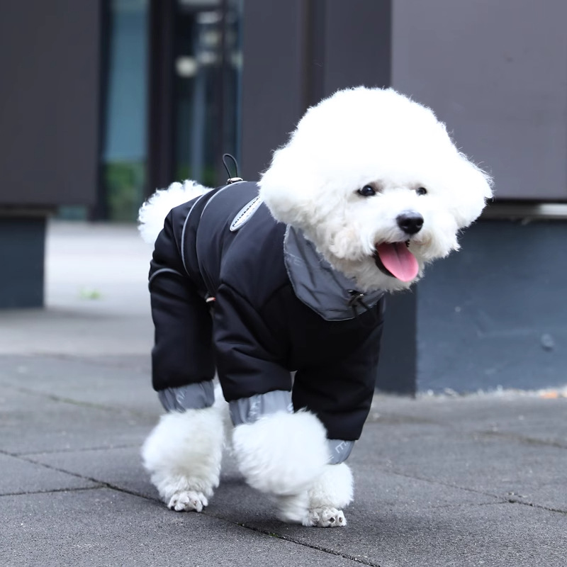 Ropa de invierno para perros mascotas Teddy perros pequeños otoño invierno perros algodón de cuatro patas invierno caliente invierno