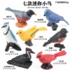 M4134 mini bird (7 sets)