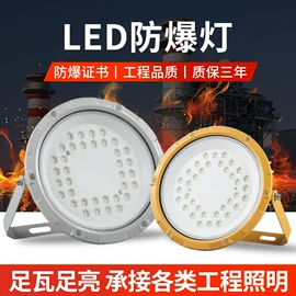 防爆灯;LED应急灯;隧道灯具