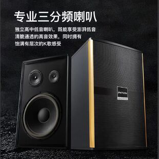 Home theater wooden audio KTV audio and power amplifier suit Super subwoofer 10-inch home audio