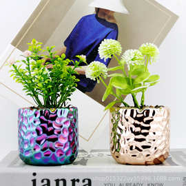 跨境绿植陶瓷盆栽 仿真植物家居装饰品塑料小摆件人造盆景定制