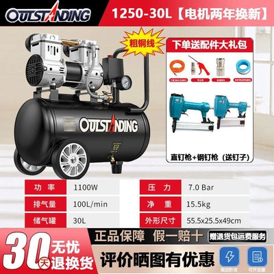 Air Compressor Air Pump — Hava kompressorları - thick-copper-1250-30l-7m-tubes-straight-nail-gun-steel-nail-gun-new-motor-replacement-within-two-years-focusing-on-air-compressors-for-17-years