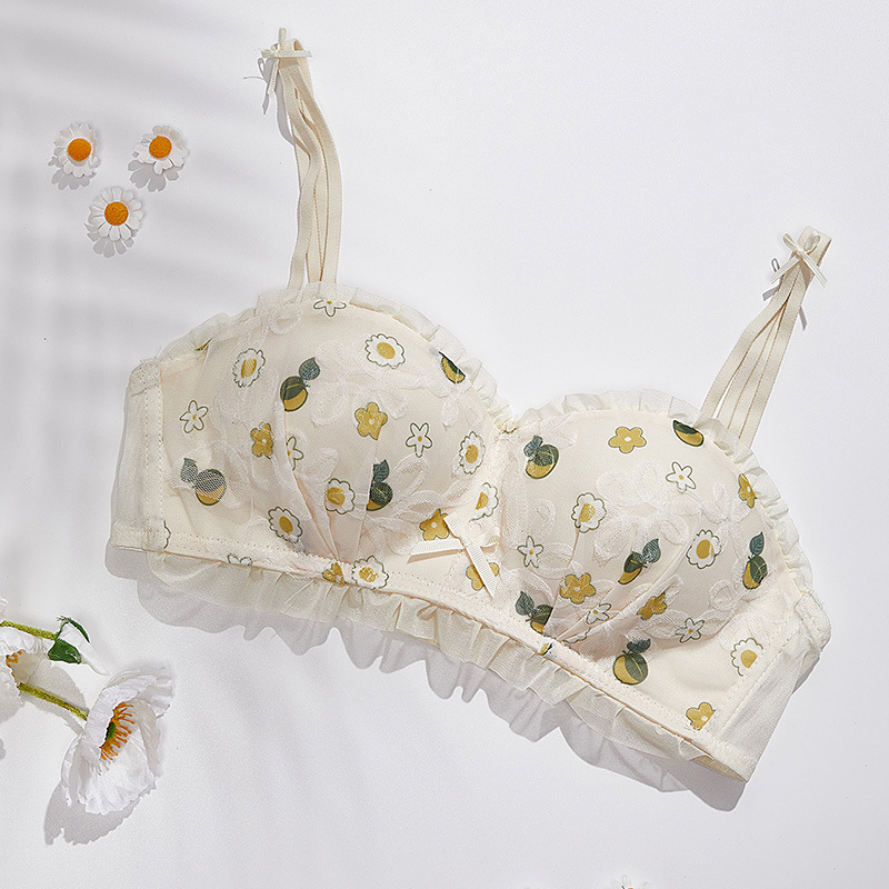 Venta directa de fábrica comercio electrónico transfronterizo Sudeste de Asia Vietnam Tailandia damas dulces sujetador de colección lateral sin costuras