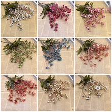 �����D÷���滨��ɫ�͹�С�K÷�Wʽ�Ҿ������b��������ļٻ�