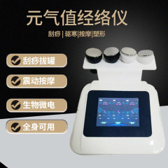 元気値経絡器長青中国biopur同モデル招財猫理学療法元気通マッサージ器三通大師