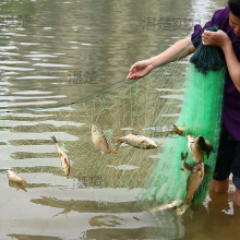 �Ό�����ճ�O�W���W���W���ؽz�W�����~�W�a�~���~�חl�Wմ�W