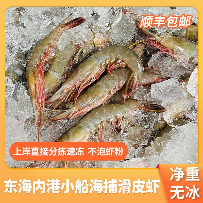当季海捕滑皮虾新鲜冷冻青壳虾剑虾天然蛎虾鹰爪虾商用一件代发