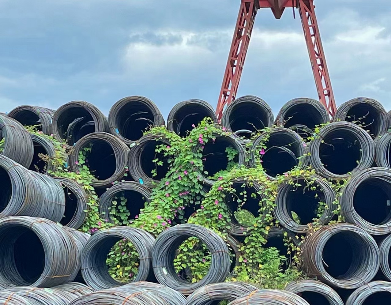 亚新钢铁线材高线HPB300圆钢盘圆 建筑工地用HPB400E螺纹钢筋盘螺