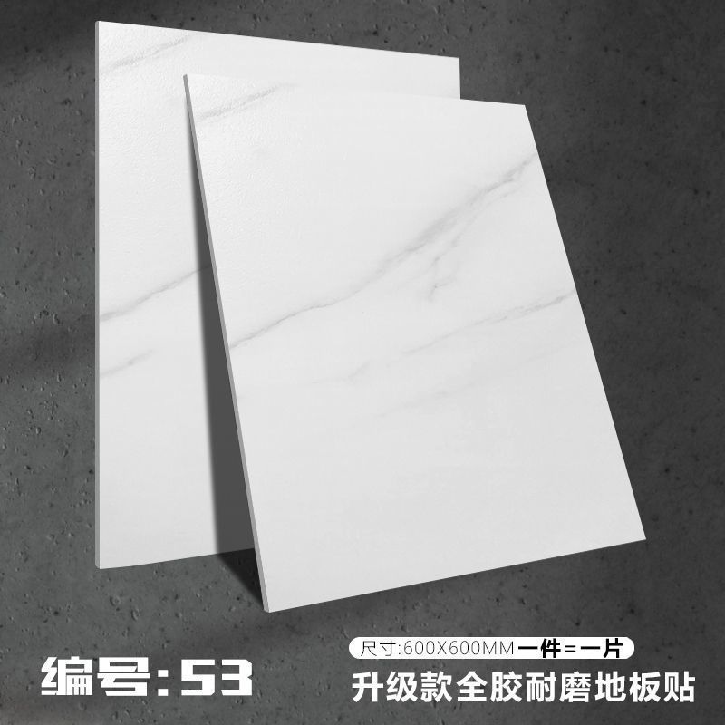 Silverfish White 53-6Ox6O [무광택 미끄럼 방지]