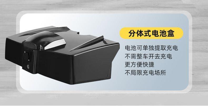 Electric Four-Wheeler for the Elderly, Household Dual-Seater Mobility Scooter for Disabled People, Foldable Small Electric Vehicle