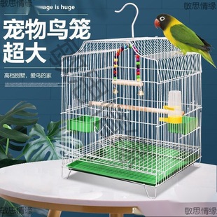 ��}��̖�B�\�ӻ�Ƥ���L�W�^�\�˸�\�����B�\��˼�B�����Bֳ�\