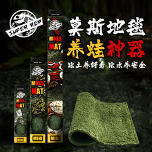 SuperRep爬虫莫斯地毯雨林蜥蜴蛇水陆龟角蛙守宫造景垫材保湿地垫