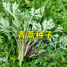 ����N������xω����ʳ�ò����S��������N�ӿ��������㰬�ݷN��