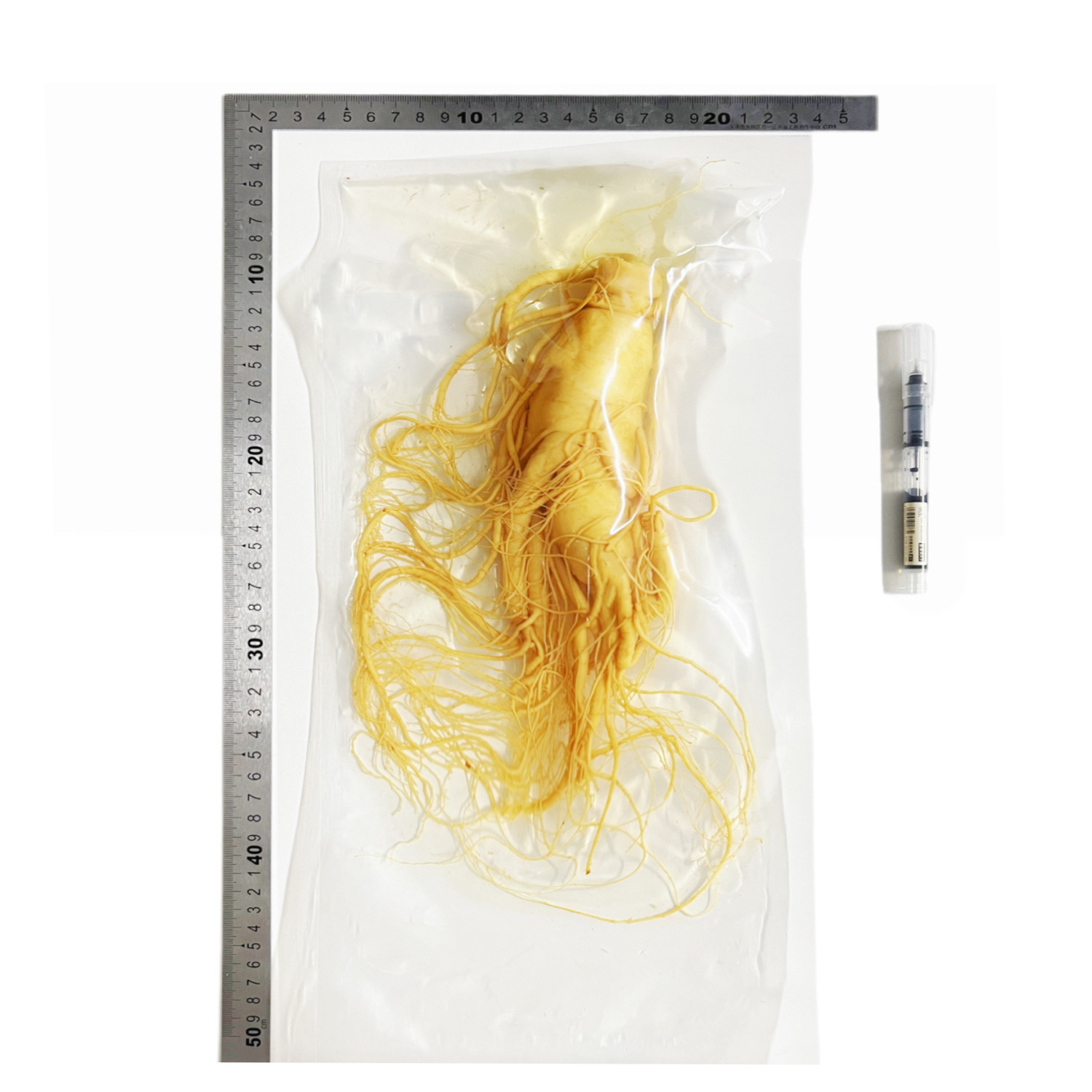 【鮮人参】長白山人参卸売メーカー直販 東北特産新鮮人参 酒漬け人参 生人参