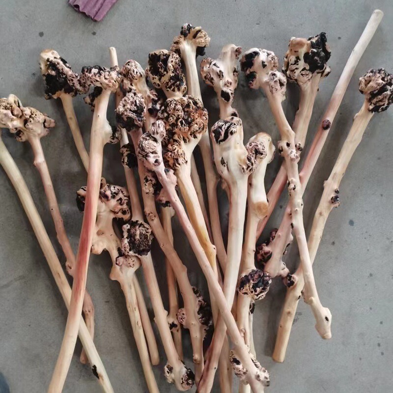 Camellia wooden stick yabei walking fitness stick fitness hammer wooden fitness stick factory direct supply Camellia wooden stick yabei walking fitness stick fitness hammer wooden fitness stick factory direct supply